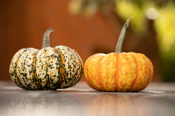  Kürbisfrüchte Kürbis Mikrowellen Kürbis Herbst Halloween September 