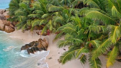 Granite Rocks and beautiful Palms of Seychelles Islands, Indian Ocean © jovannig