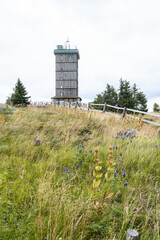 Auf den Brocken bei Wolken und Wind 