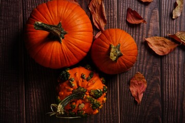 Autumn Fall background with pumpkins, selective focus