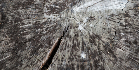 Old vintage wooden texture for banner