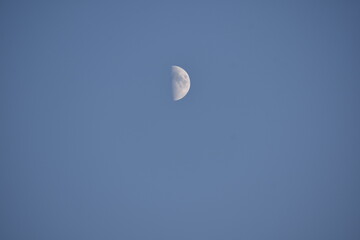 moon in the sky