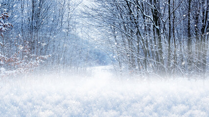 Winter landscape, snow cover in the forest on a background of trees during a snowfall