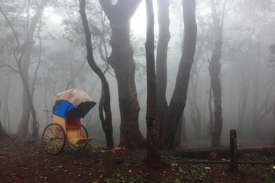 Rainy day with fog and greenery, Matheran, smallest hill station in India, Maharashtra