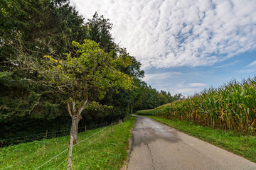 Wonderful autumn hike near Sipplingen and Uberlingen on Lake Constance