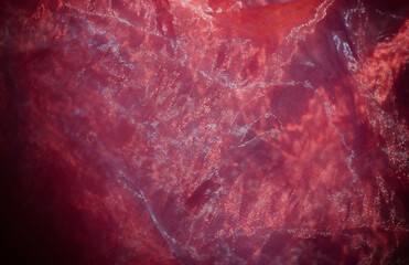 Pink and purple chiffon fabric texture for the background