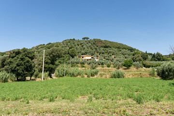 Italien - Toskana - Provinz Livorno