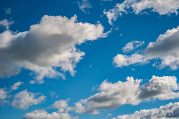 Naklejka na ściany i meble Blue sky background with a tiny clouds