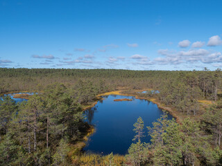 Viru bogs at Lahemaa national park
