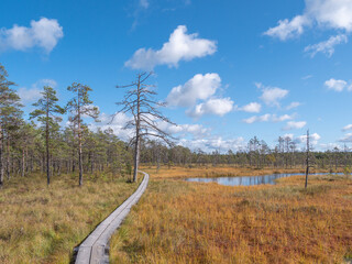 Viru bogs at Lahemaa national park