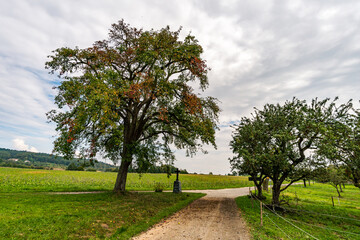 Wonderful autumn hike near Sipplingen and Uberlingen on Lake Constance