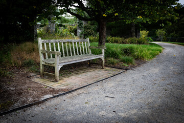 A bench covered in white fungus next to park alley in the Arboretum Botanical Garden in Lexington, Kentucky USA