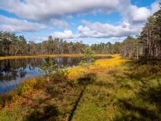 Viru bogs at Lahemaa national park