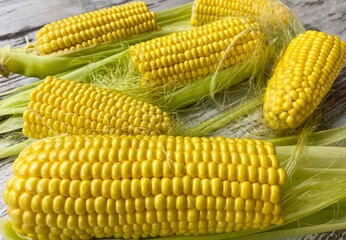 Close-up of ripe raw corn swings on an abstract wooden surface.The concept of proper healthy nutrition, agriculture.