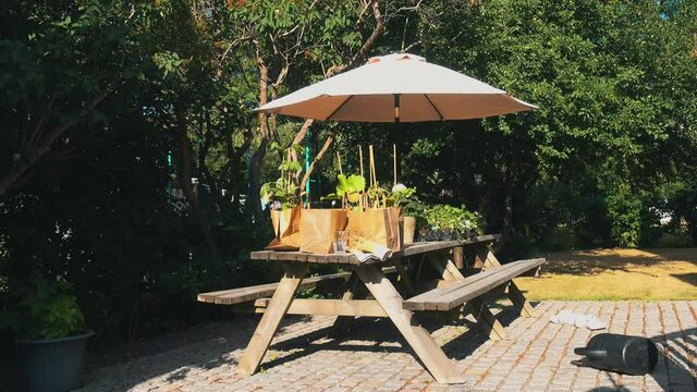 bench with freshly bought plants on it and a parasol in the wind