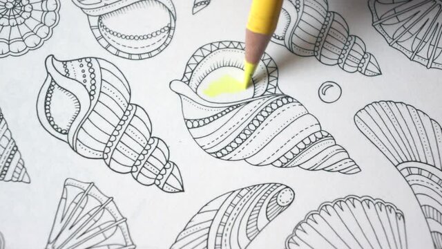 Coloring a sea shell in the adult anti stress coloring book with yellow crayons