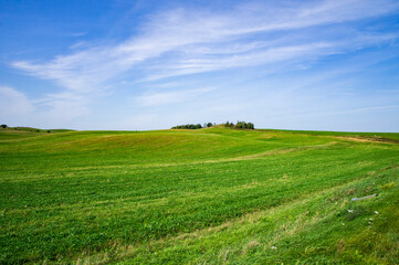 Fototapeta na wymiar Beautiful summer bright green meadow and field with blue sky. Empty landscape