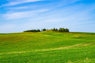 Beautiful summer bright green meadow and field with blue sky. Empty landscape