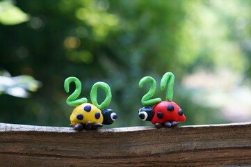 Figures of two ladybirds on a colored background. Next to the number 2021.