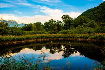 reflections on water