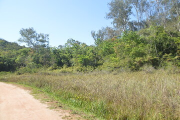 path in the field