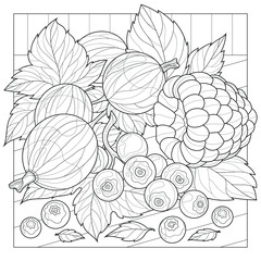 Berries. Gooseberry, raspberry, blueberry, currant.Coloring book antistress for children and adults. Zen-tangle style.Black and white drawing