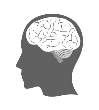 Design of human brain illustration