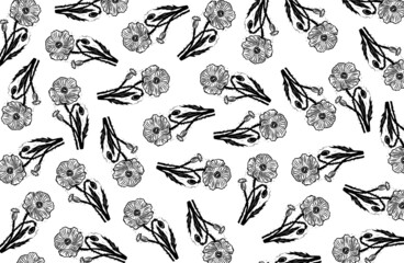 Vector poppy pattern. Poppy background. Engraving poppy. Floral black and white background.