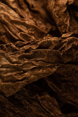 Macro close up portrait of Mexican chipotle chile