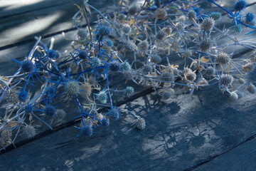 Winter background. Dried blue flowers on a wooden table