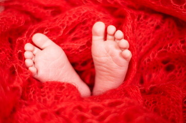 Soft feet of newborn baby in red blanket.