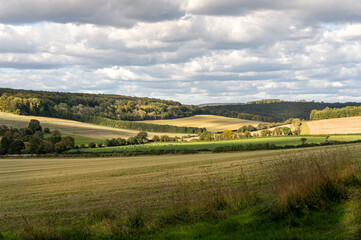 Fields and gentle rolling coutryside of West Sussex, England.