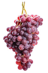 bunch of pink grapes on a white background. isolate