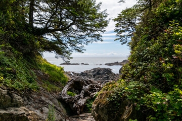 Naklejka na ściany i meble Rocks near Brown Beach Ucluelet, BC, Canada on a summers day