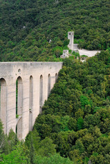 Fototapeta na wymiar Bridge of Towers Ponte delle Torri Aqueduct to Spoleto Italy