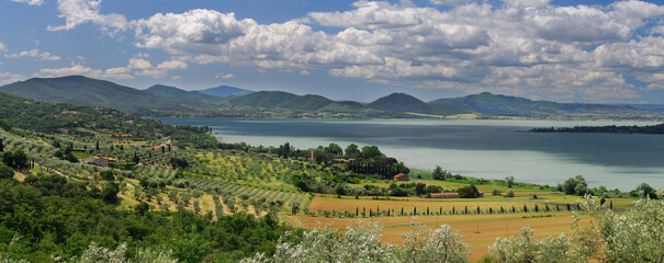 Panorama of olive groves sloping to Lake Trasimeno in Umbria Italy - obrazy, fototapety, plakaty