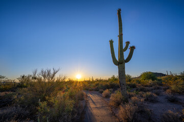 Desert Discovery Nature Trail sunset near Tuscon Arizona