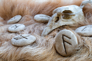 Stone Ansuz runes and bird skull on a animal fur. Futhark viking alphabet. Close up photo of Norse...