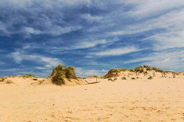 Fototapeta na wymiar Dunes and sea landscape at the Amoreira beach in Portugal