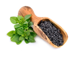 Basil seed