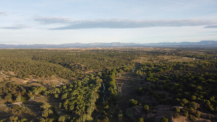 krajobraz góry las widok natura zieleń niebo © Piotr