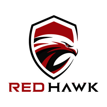 45 Best Hawk Logo Images Stock Photos Vectors Adobe Stock