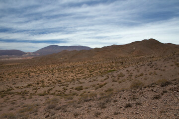 Desert landscape. View of the arid land, valley, vegetation and mountains in the horizon.