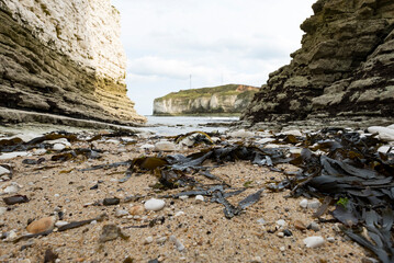 Coastal cliffs at low tide