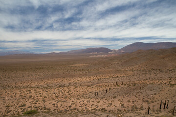 Desert landscape. View of the arid land, valley, vegetation and mountains in the horizon.