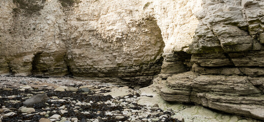 Coastal cliffs at low tide