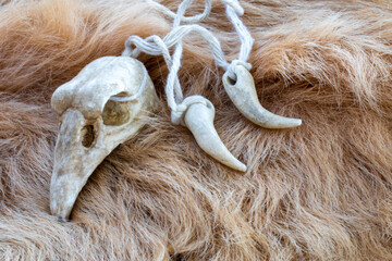 Bird skull on a animal fur. Necklace for rituals of a druid or magician.