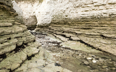 Small tidal creek channel at low tide