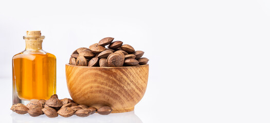 Plukenetia volubilis, nuts and oil isolated on white background