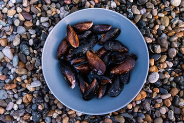 a fresh catch of mussels on the wet shore of the sea in a grey plate